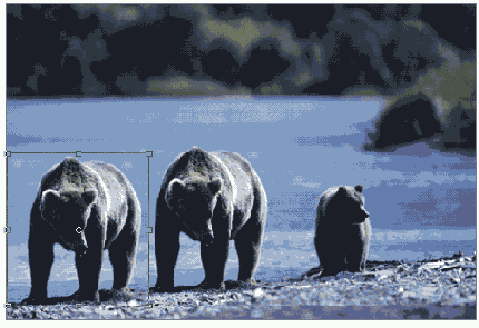 ����������� � ����������� ���������� �������