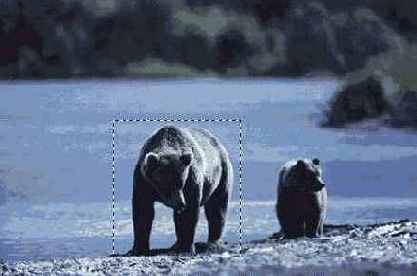 ����������� � ����������� ���������� �������