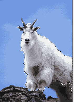 ����������� ����� ���������