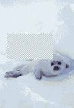 ����������� ����� ���������