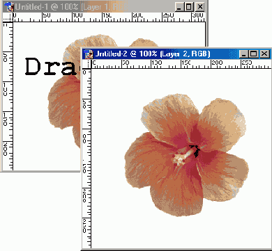 �������������� ���� � ������ �����������