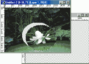 �������������� ���������� ������� ����� �������������