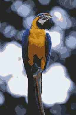 ��������������� �����������