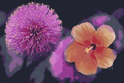 ��������������� ����