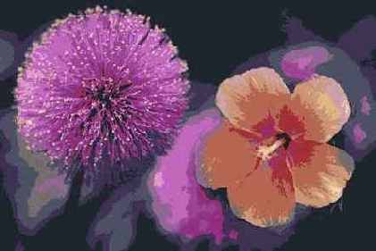 ��������������� ����