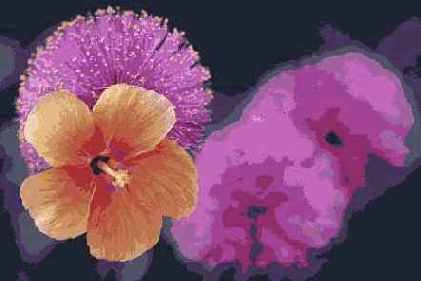 ��������������� ����