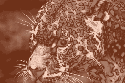 ���������� ����������� ����� � ����