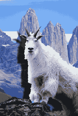 ���������� �������� Drop Shadow � Inner Shadow