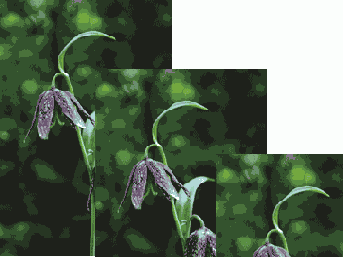 ������������� ���� � ����� ��������� �����