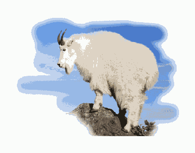 ���������� ���������� �������