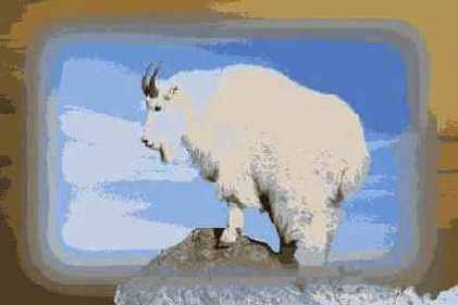 ���������� ���������� �������