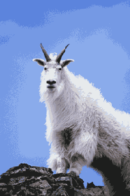 ������������ ������