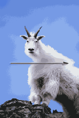 ������������ ������