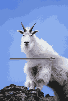 ������������ ������