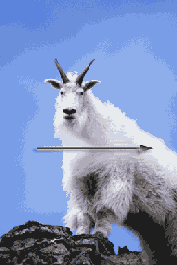 ������������ ������