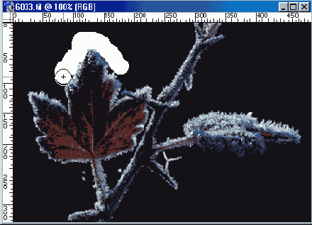 ����� ��������������� ��������