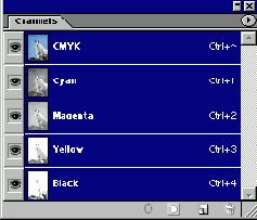 ������ �����������