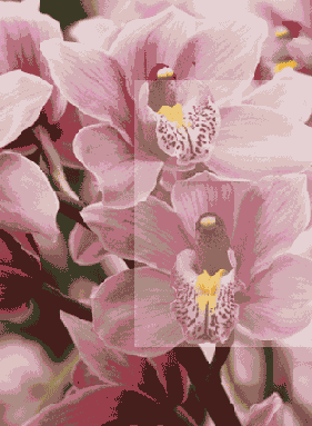 ������ ����������