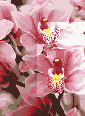 ������ ����������