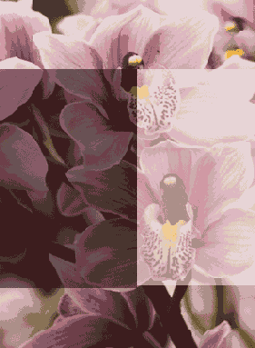 ������ ����������