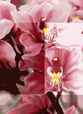 ������ ����������