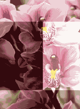 ������ ����������