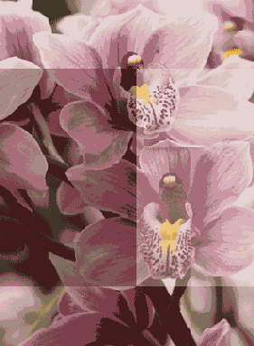 ������ ����������