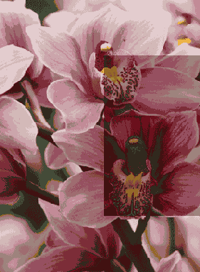 ������ ����������