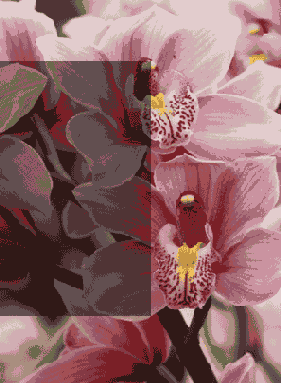 ������ ����������