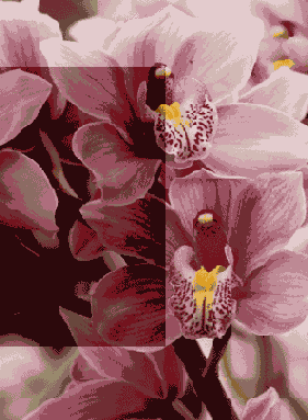 ������ ����������