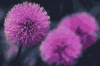 ������� � ����� ����