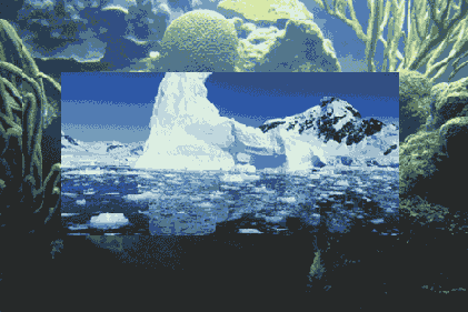 �������� ����� ����