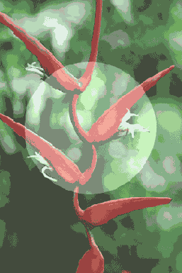 ������� ������������� �������������� �����