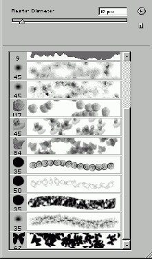 �������� �����