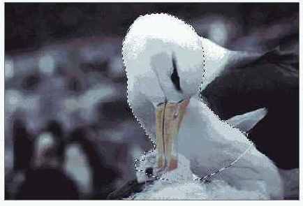 �������� �����