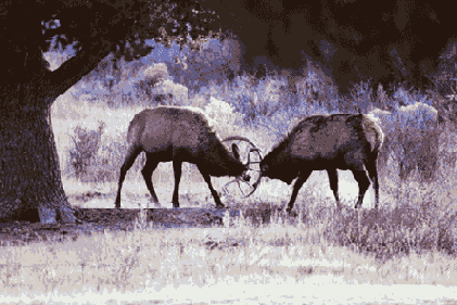 �������� ����� ��� ������������� ������� ����������� �� ������ ����