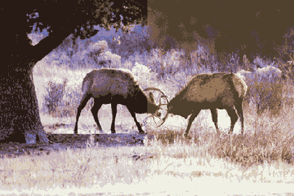 �������� ����� ��� ������������� ������� ����������� �� ������ ����