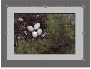 ���������� ������ ����������� � ������� ����������� Crop