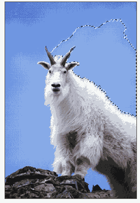 ������ ����� ������ ����� ����������� 