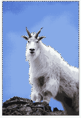 ������ ����� ������ ����� ����������� 