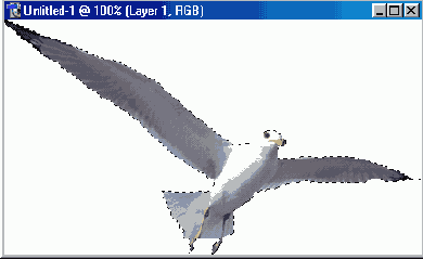 ��������� ������������� ��� ������������� �������