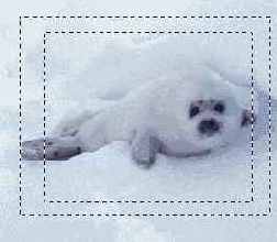 ��������� ����� ������ ������ ���������� �������