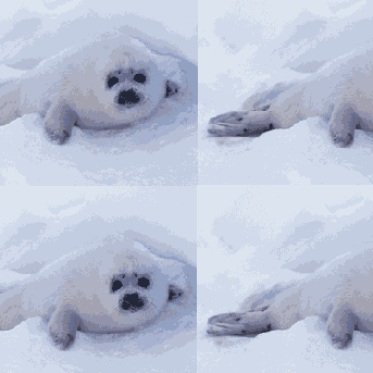 ������� ���������� ������� ��� ���� �����-���� ������, ������ ��� ������������