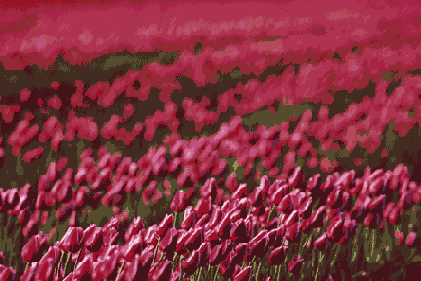 ������ �����