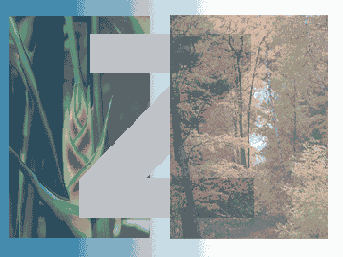 ���������� ������ ������������ � ������� ������ ���������