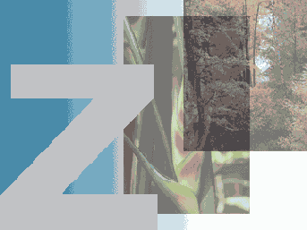 ���������� ������ ������������ � ������� ������ ���������