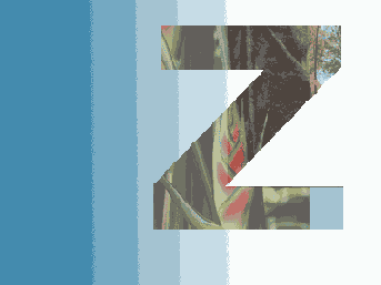 ���������� ������ ������������ � ������� ������ ���������