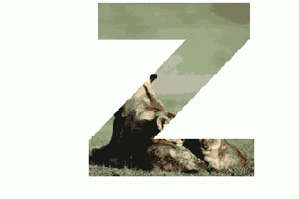 ���������� ������ ������������ � ������� ������� Paste Into