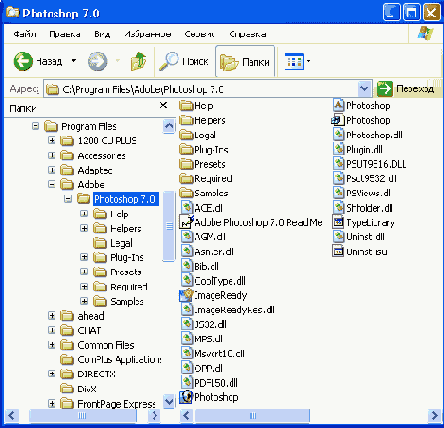 ������ ���������