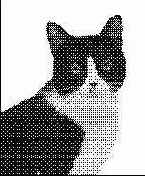 �������� ������ Photoshop